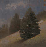 Cedars