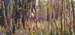 Aspen Shapes
