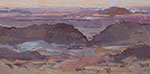 Big Bend Badlands V