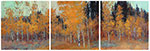 Colors of Autumn Triptych