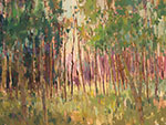 Dappled Light