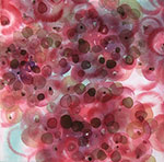 Alizarin Fizz I