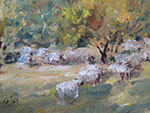 <b>Sister Dale Sheep</b><br>Oil on Board, 9x12 inches<br>$1200