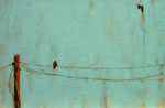 As You Fade Away