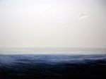 Flight