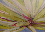 <b>Yucca</b>, 2011<br>Watercolor on pintura board, 18x24 inches<br>$900