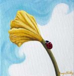 Ladybug