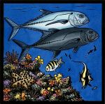 Galapagos Alphabet: Jack Fish