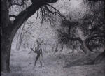 <b>Deep in the Forest</b><br>, <br>$4000