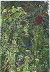 <b>East Austin Jungle</b>, 2011<br>Watercolor on paper, 39x27 inches, 44x32 inches framed<br><i>sold</i>