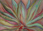 <b>Hot Agave by Karen Neyland</b>, 2012<br>Watercolor, 32x40 inches framed<br>$1500
