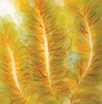 <b>Capturing Light</b>, 2010<br>Watercolor, 30x30 image, 38x38 inches framed<br><i>sold</i>