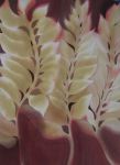 <b>Sea Kelp III</b>, 2010<br>Watercolor, 41.5x30 inches unframed<br>$3000