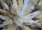 <b>Gold Agave</b>, 2010<br>Watercolor, 14x21 unframed<br>$500