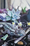 <b>Lizard</b><br>Oil on panel, 18x12 inches<br>$1600