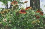 <b>Gaillardia Jungle</b>, 2011<br>Watercolor on paper, 30x45 inches, 35x49 inches framed<br><i>sold</i>