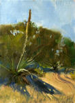 <b>Yucca in Evening Light</b>, 2010<br>Oil on panel, 12x9 image, 18x15 inches framed<br>$700