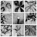 <b>Untitled 9</b>, 2011<br>Ink on panel, 6x6 inches each<br>$2100