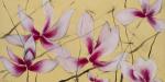<b>Tulip Magnoilias II</b>, 2011<br>Pencil & Acrylic on Japenese paper on panel, 36x72 inches<br>$4600
