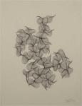 <b>Thelia</b><br>Graphite, 8x6 image, 21x16 inches framed<br><i>sold</i>