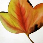 <b>Hyde Park VI</b>, 2009<br>Watercolor, 15x15 image, 26x26 inches framed<br>$1000