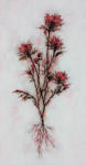 <b>Just This</b>, 2012<br>Oil on panel, 30x16 inches<br>$2000