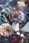 <b>Poppy Flower Seedheads</b><br>Oil on panel, 18x12 inches<br>$1600