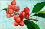 Ripe Pomegranates
