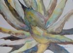 <b>Agave IV</b><br>Watercolor on pintura board, 18x24 inches<br>$900