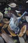 <b>First Winter Chipping Sparrow</b><br>Oil on panel, 18x12 inches<br>$1600