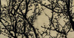 <b>Night Shadows</b>, 2010<br>Ink & rice paper on canvas, 39x72 inches<br>$3800