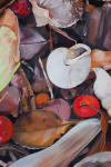 <b>Possum Haw Berries and Leaves</b><br>Oil on panel, 18x12 inches<br>$1600
