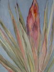 <b>Yucca Blue II</b>, 2011<br>Watercolor on pintura board, 24x18 inches<br>$900