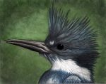 Punk