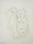 <b>Trail Fibers</b><br>Graphite, 21x16 inches<br>$350