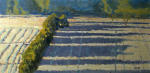 <b>Juniper Field</b>, 2011<br>Oil on canvas, 15x30 inches<br>$1350
