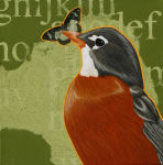 Robin I