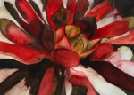 <b>Red Succulence</b><br>Watercolor, 22x30, 28x36 framed<br>$1500