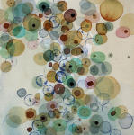 <b>Umbria III</b>, 2011<br>Watercolor on paper, 10x10 image, 18x18 inches framed<br><i>sold</i>
