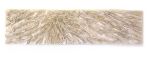 <b>Up Close/Far Away</b>, 2010<br>Kozo, 12x48 inches<br>$1800