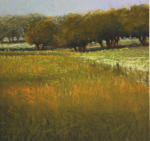 <b>Hill Country Field</b><br>Pastel, 8x8 image, 16x16 inches framed<br><i>sold</i>