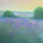 Verbena Fields