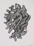 <b>Slow Turn of Present</b><br>Graphite, 21x16 inches<br>$350