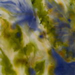Flora-Reflected #11