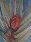 <b>Yucca Blue I</b>, 2011<br>Watercolor on pintura board, 24x18 inches<br>$900