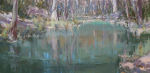 Cypress Creek