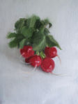 Radishes