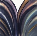 <b>Fractured Mussel I</b>, 2010<br>Watercolor, 6x6 image, 16x16 inches framed<br>$700