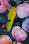 <b>Backyard Plums</b><br>Oil on panel, 18x12 inches<br>$1600