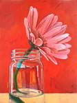 Pink on Red